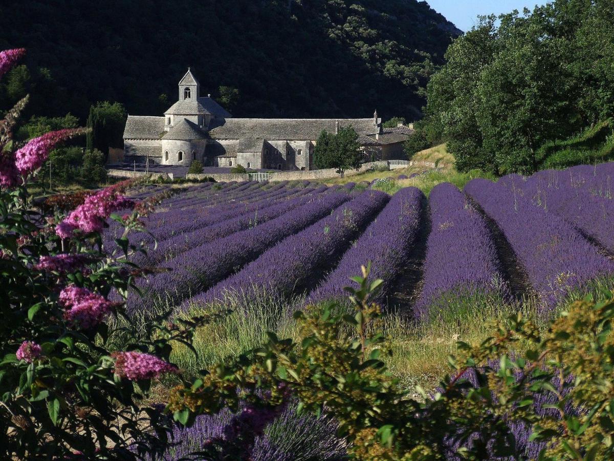 Les Cerises Saint-Saturnin-d'Apt Exterior foto