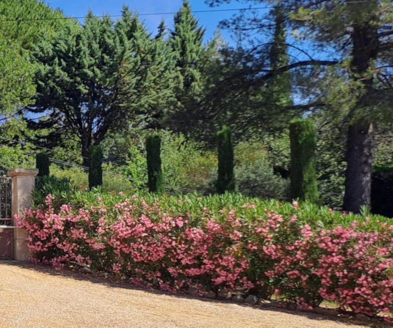 Les Cerises Saint-Saturnin-d'Apt Exterior foto